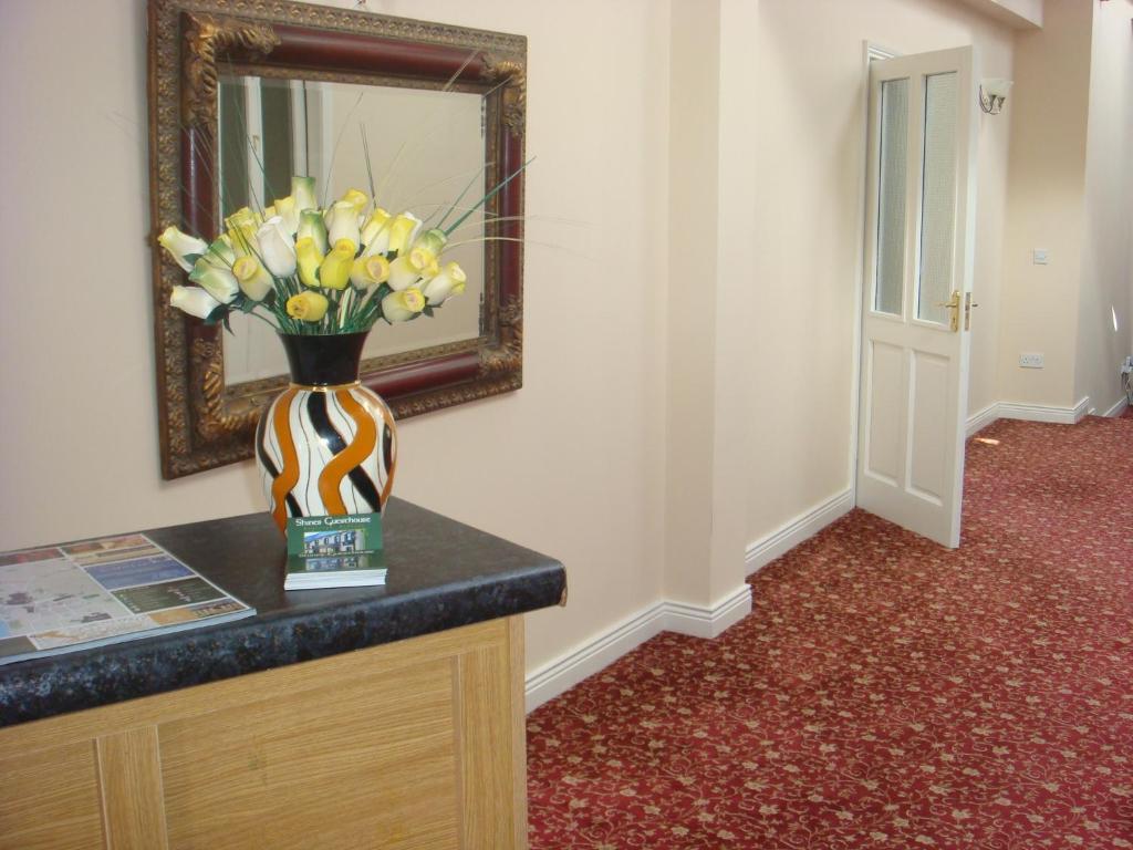 Guest house Shines