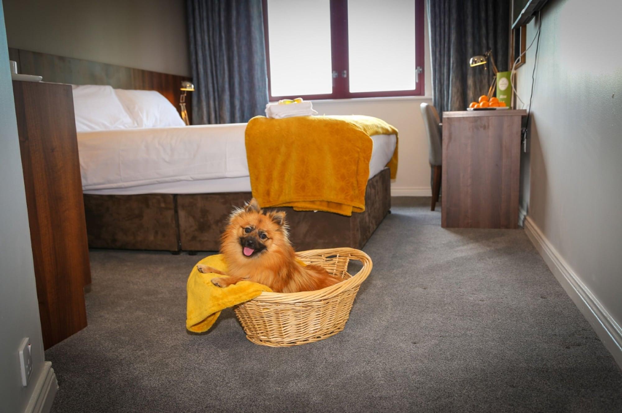Creggan Court Hotel 3*