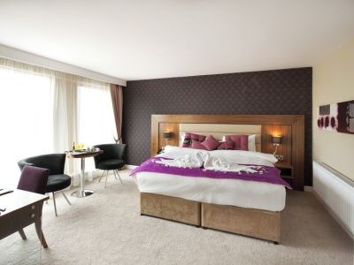 Springs Hotel Athlone