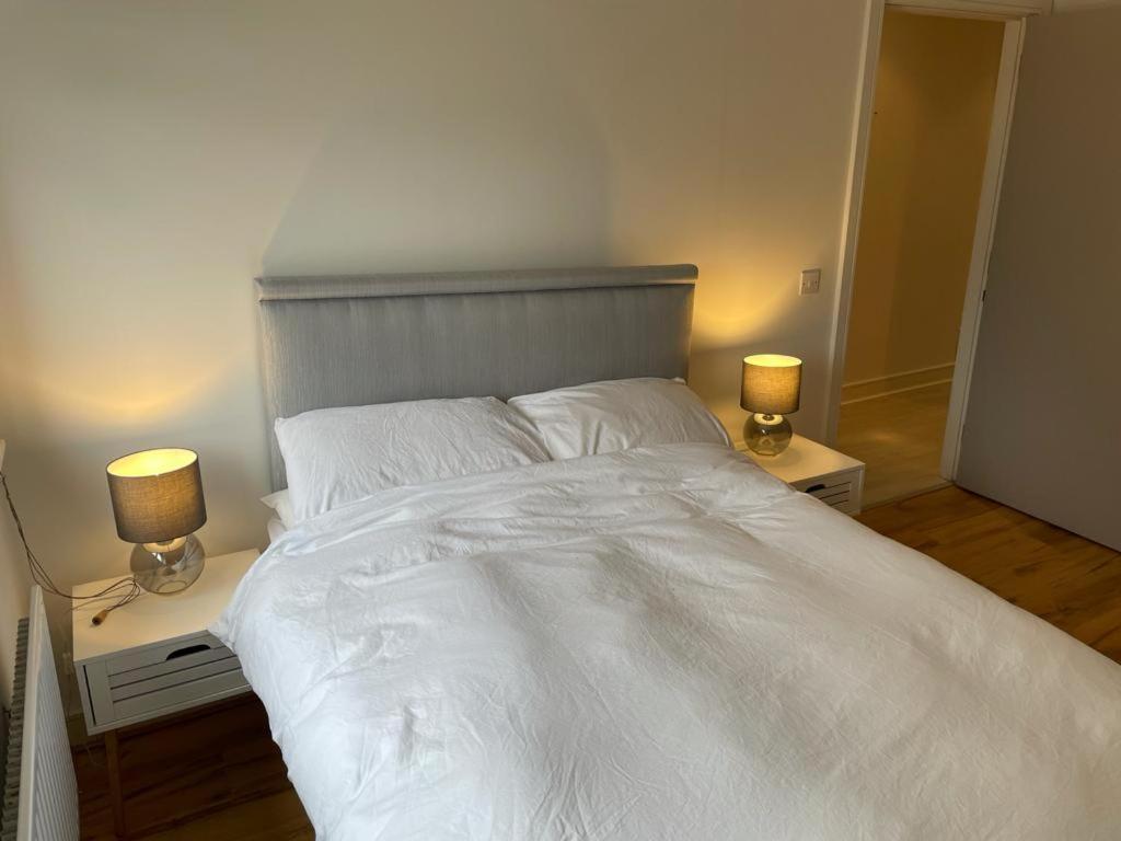 Waterside Apartment Athlone