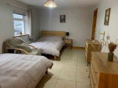Shannon View Jungle House Holiday home Athlone