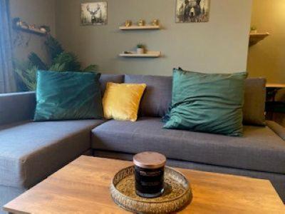 Shannon View Jungle House Holiday home Athlone