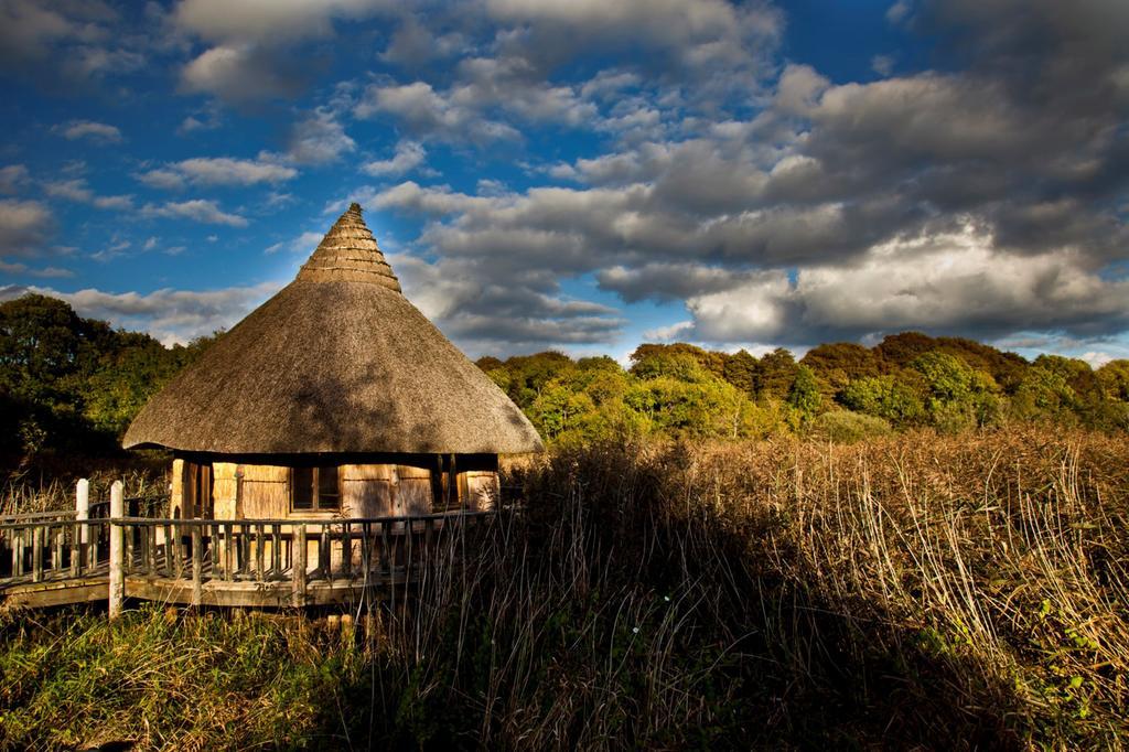 Lodge Glasson Lakeshore Cabins *