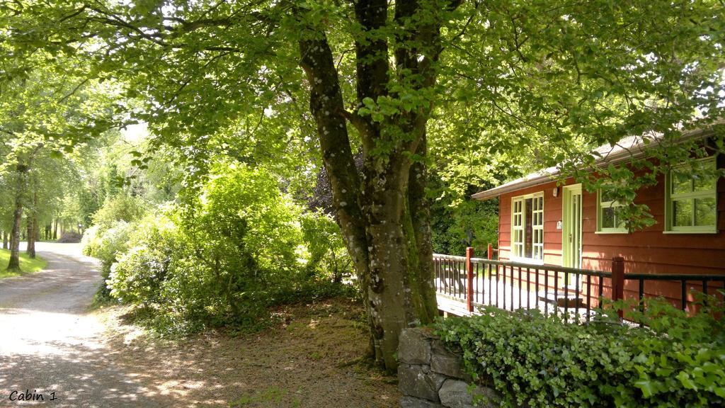 Glasson Lakeshore Cabins * Athlone