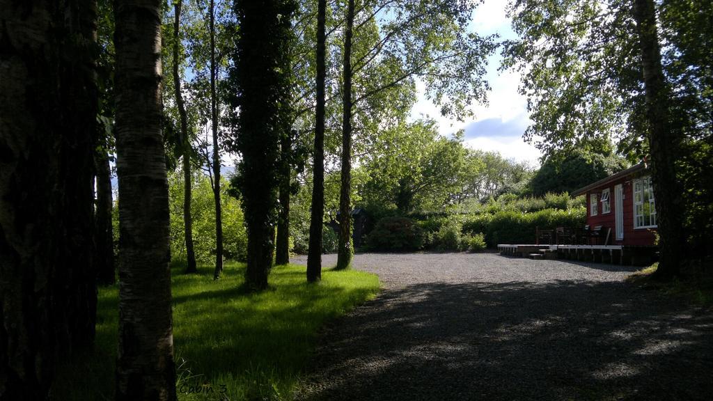 Glasson Lakeshore Cabins