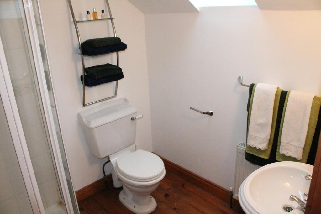 Moynure House Boutique B&B & Separate Two Bedroom Chalet 4* Athlone